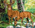 Le Cerf et La Biche