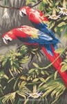 PARROTS, JEWELS OF THE FOREST sur toile Aida 5.4