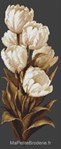 Tulipes blanches