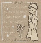 Le petit prince - Message