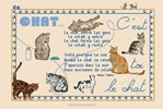 C'est toi le Chat