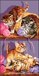 Jeux de chatons