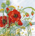 Poppies sur toile Etamine 10.5 fils