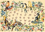 L'alphabet des oiseaux