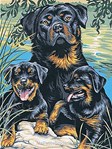 Famille Rotweiller