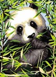 Panda dans les bambous