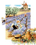 Ma Provence