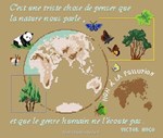 Message Ecologique du Panda