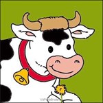 Vache Marguerite