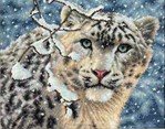 Snow Leopard