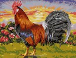 le cri du coq