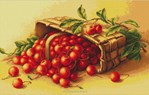 Panier de cerises