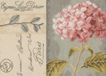 HYDRANGEA sur toile Etamine 10.5 fils