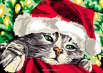 Le Chat de Noel