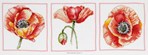 Triptyque de coquelicot