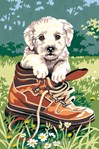 Chiot dans la chaussure