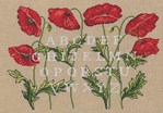 ABC coquelicots sur toile aida