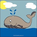 Baleine