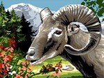 Le mouflon