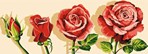 Floraison