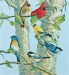 Birch Tree Birds
