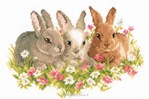 Trio de lapins