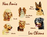 Les Chiens