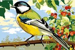 Mésange