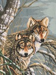 WOLVES sur toile Aida 5.4