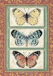 Butterfly Triplex