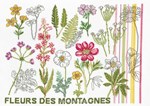 j'aime les fleurs des montagnes