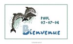 Bienvenue aux Dauphins