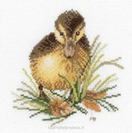 Duckling sur toile aida