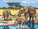 Eléphants au bain