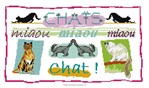 Manières de Chats