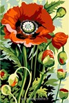 Coquelicot