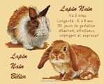 Lapins Nains