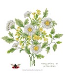 Marguerites et primeveres