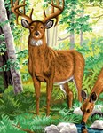 Le Cerf