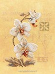 THREE ORCHIDS sur toile Etamine 10.5 fils