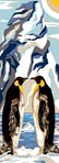 Pingouin