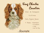 King charles