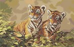 Deux jeunes tigres