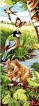 Animaux sauvages