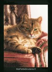 Relaxed Tabby sur toile aida