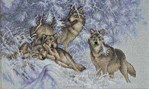 Wintertime Wolves