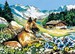 Vue sur la vallée