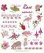 Rose comme