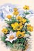 Fleurs des montagnes