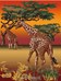 Savane girafes